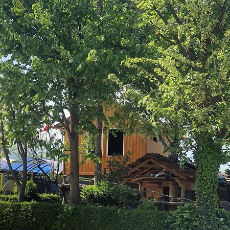 Bujtina Gashi Guest House Kukes Bagian luar foto
