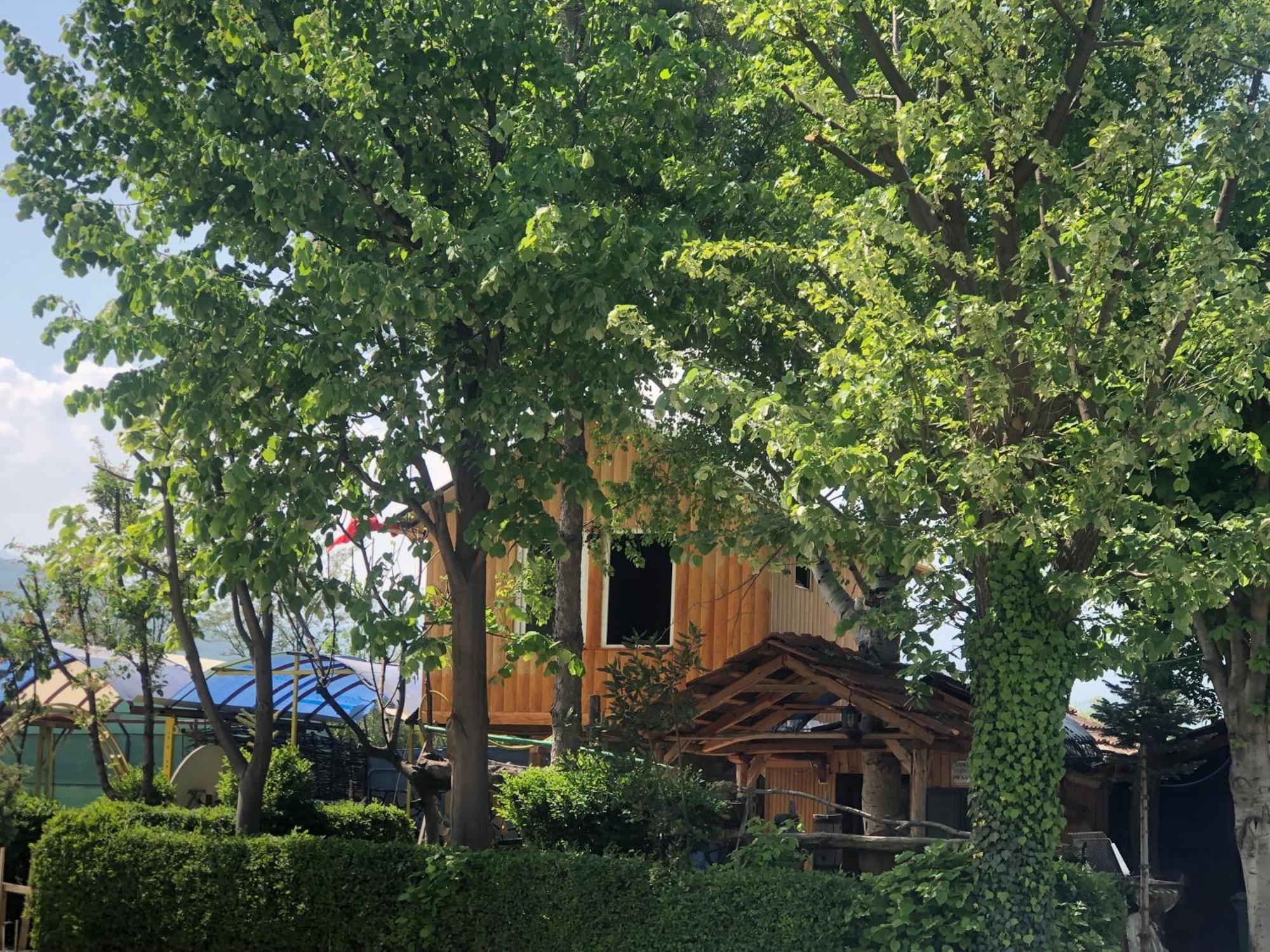 Bujtina Gashi Guest House Kukes Bagian luar foto
