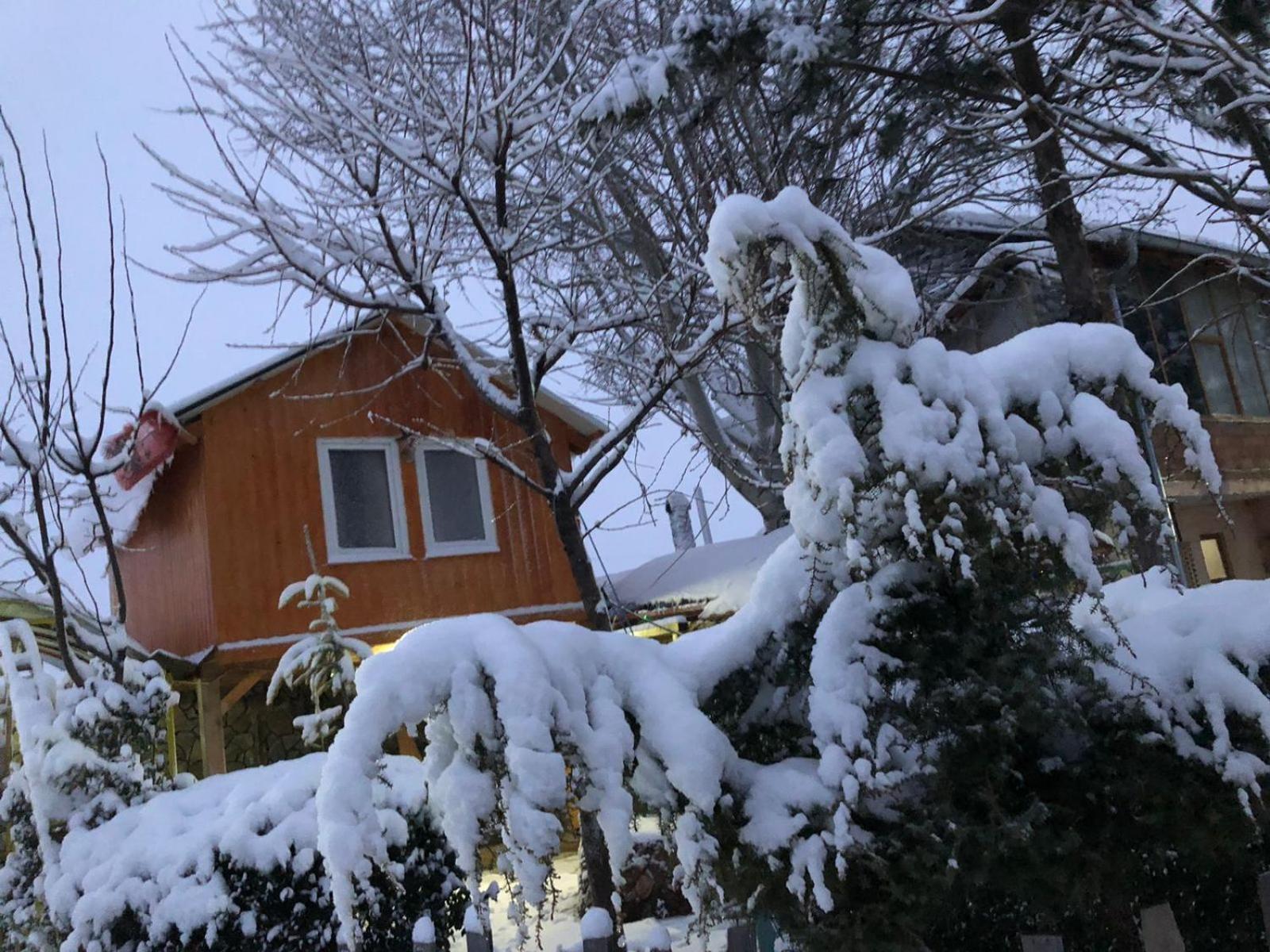 Bujtina Gashi Guest House Kukes Bagian luar foto